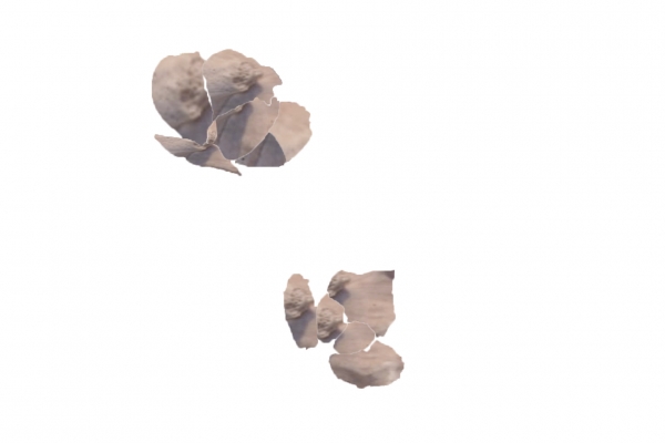 Creation of Rose: Step 1